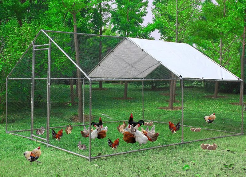 Large Chicken Coop Metal Chicken Runs for Yard, 10' Walk in Chicken Coop Cage Chicken Pen Poultry Cage with Waterproof & Anti-UV Cover Heavy Duty Rabbit Hutch Duck Cage for Outdoor, Backyard and Farm - Image 9