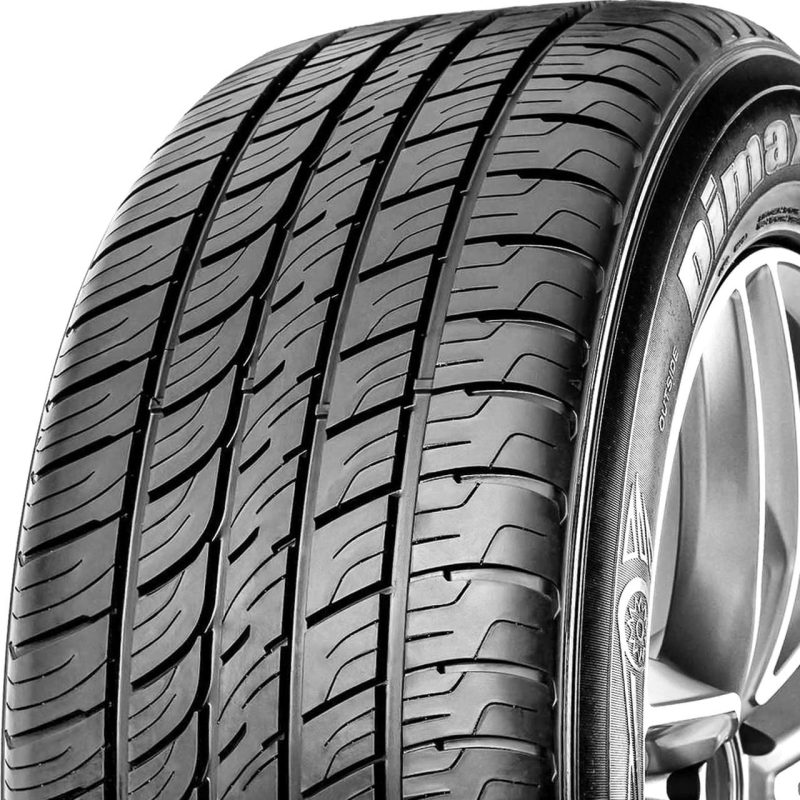 Radar Dimax AS-8 255/50R20 109V Passenger Tire - Image 2