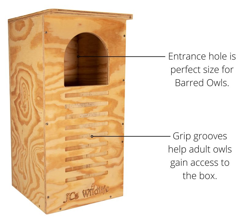 JCs Wildlife Barred Owl Nesting Box - Treated Exterior Grade Plywood - Mounting Hardware and Pine Shavings Included - Dedicated Clean Out Door for Easy Cleaning - Made in The USA - Image 3