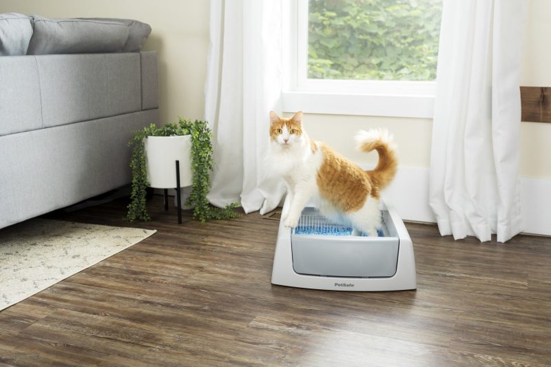 ScoopFree Complete Self-Cleaning Litter Box - No Scooping Required - Unbeatable Odor Control - Image 10