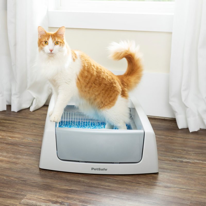 ScoopFree Complete Self-Cleaning Litter Box - No Scooping Required - Unbeatable Odor Control - Image 7