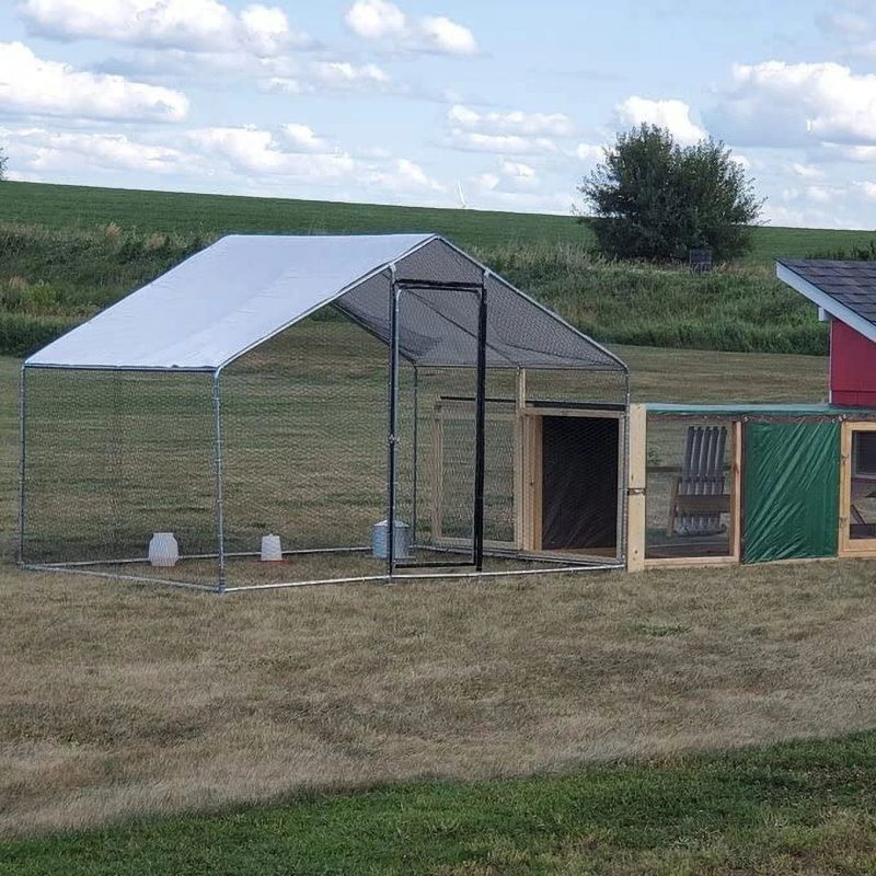 Phonjoroo Large Walk-in Metal Chicken Coop Poultry Cage Hen House Chicken House for Farm Up to 12 Chickens 10’ L x 6.6’ W x 6.6’ H w/Chicken Run Cover for Farm Home use (79.2'' H x 79.2'' W x 120'' D) - Image 5